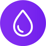 Asset 31
